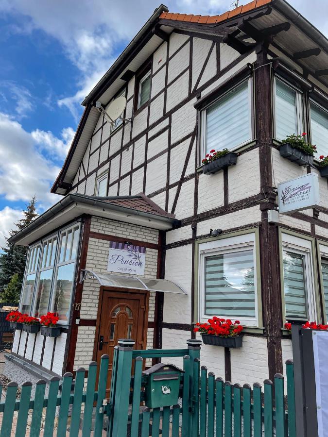 Pension Lavendel Harztor Exteriör bild